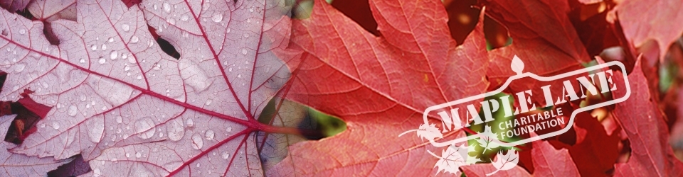 Banner of Donation site